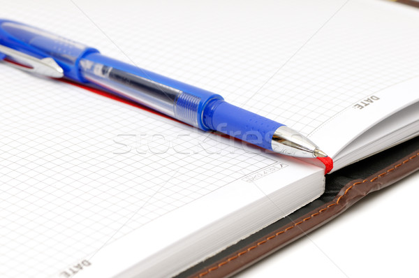 Notebook and ball-point pen Stock photo © Serg64