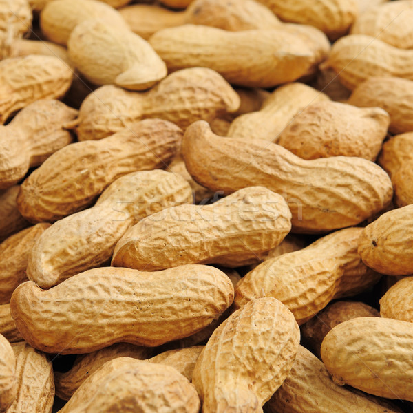 groundnut background Stock photo © serg64