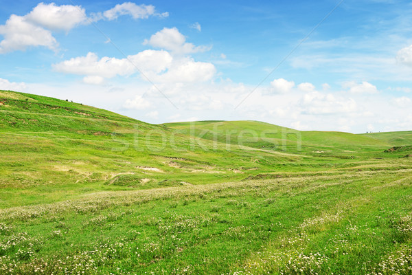 Terrein blauwe hemel hemel voorjaar gras hout Stockfoto © serg64