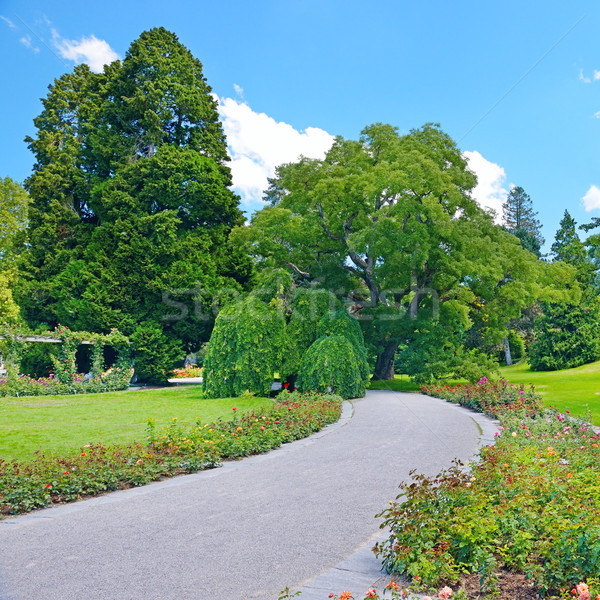 商業照片: 美麗 · 花卉 ·樹· 公園 · 天空 · 春天