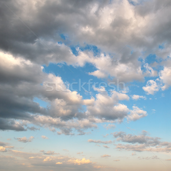 Nubi bianco cielo primavera natura panorama Foto d'archivio © Serg64