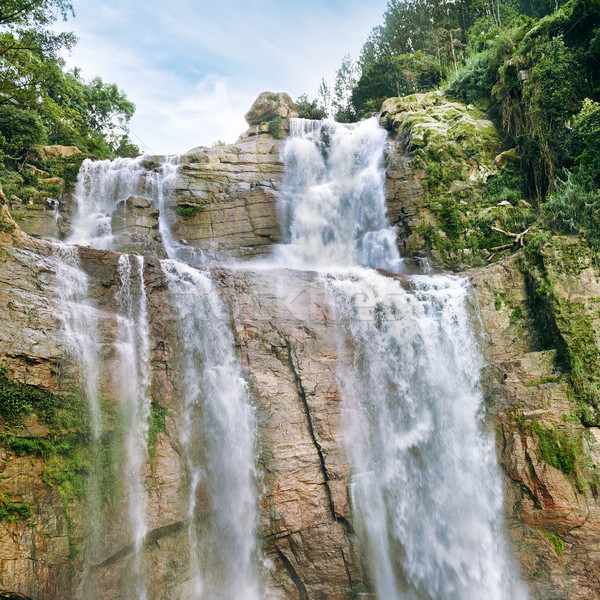 waterfall in the forest Stock photo © serg64