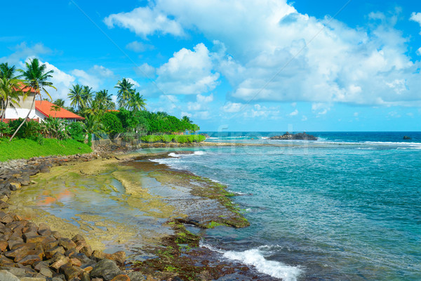 Okyanus plaj palmiye ağaçları mavi gökyüzü Sri Lanka su Stok fotoğraf © serg64
