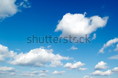 Nori alb primăvară peisaj lumina vară Imagine de stoc © Serg64