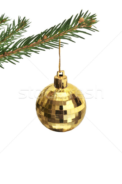 Christmas-tree decorations Stock photo © Serg64