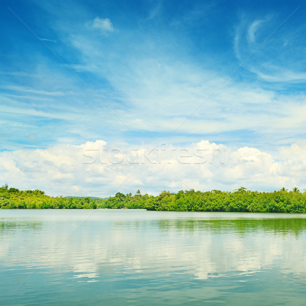 Stock photo: Equatorial mangroves