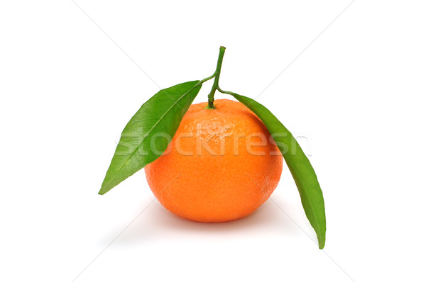 Mandarine isoliert weiß Blatt Hintergrund Sommer Stock foto © Serg64