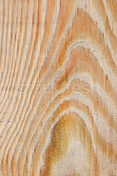 Holz Textur Wald Kreuz Hintergrund Bäume Stock foto © Serg64