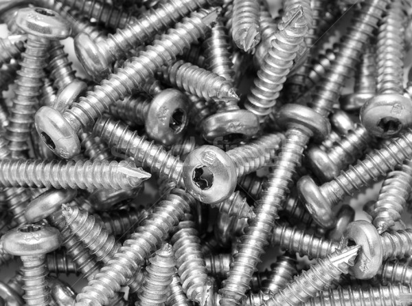 screws Stock photo © Serg64