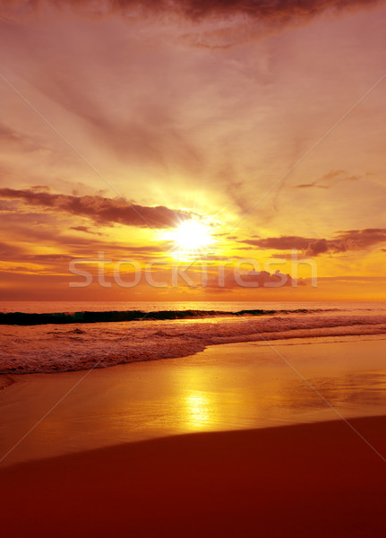 Bright red sunrise Stock photo © serg64