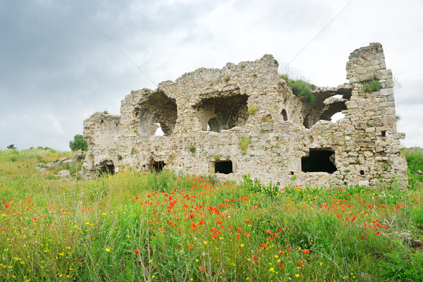 Stok fotoğraf: Eski · ören · çim · çiçekler · çiçek · doğa