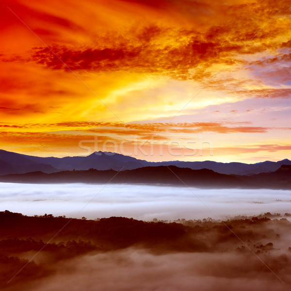 日出 山 黎明 覆蓋 霧 光明 商業照片 © serg64