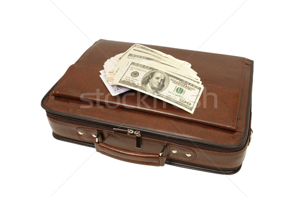 portfolio and dollars Stock photo © Serg64
