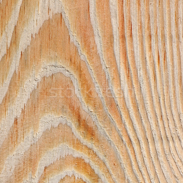 Textură pădure trece fundal copaci Imagine de stoc © Serg64