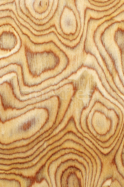 Wooden texture Stock photo © serg64