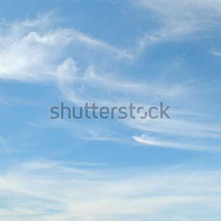 Alb nori Blue Sky primăvară lumina vară Imagine de stoc © serg64