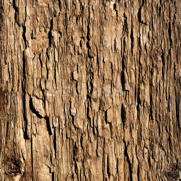 Wooden texture Stock photo © Serg64