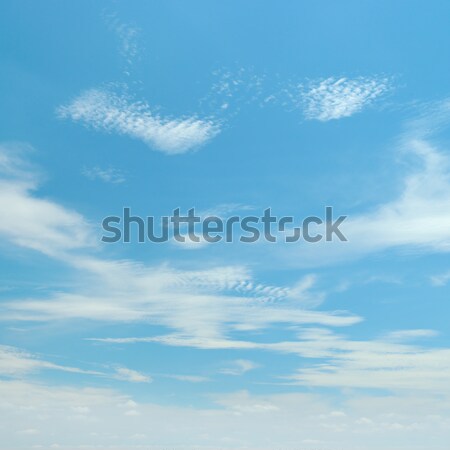 Alb pufos nori Blue Sky primăvară lumina Imagine de stoc © serg64