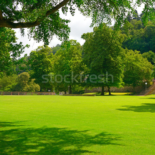 Stockfoto: Mooie · weide · park · hemel · voorjaar · bos