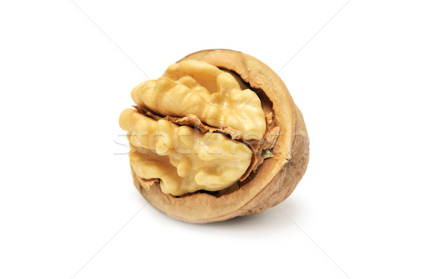 walnut Stock photo © Serg64