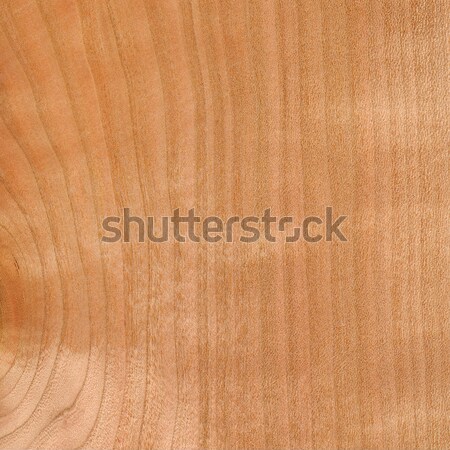 Wooden texture background Stock photo © serg64