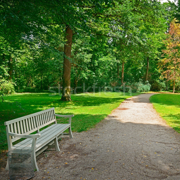 Bench in a beautiful park. Stock photo © Serg64