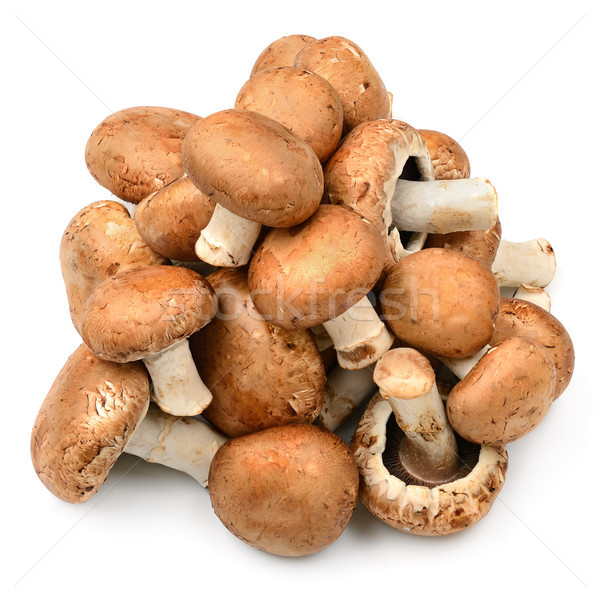 Gyűjtemény champignon izolált fehér természet csoport Stock fotó © serg64