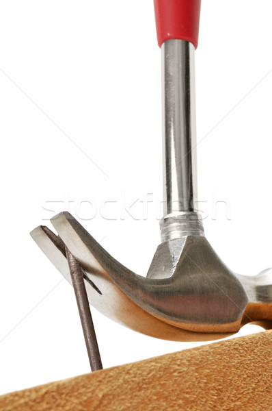 Stock photo: nail-catcher and nail 