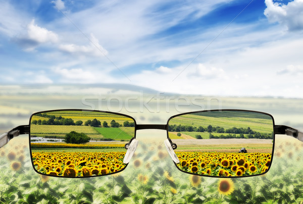 Zonnebril arme visie oog zon glas Stockfoto © Serg64