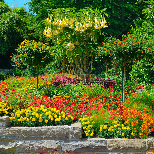 Stockfoto: Kleurrijk · flower · bed · zomer · park · bloem