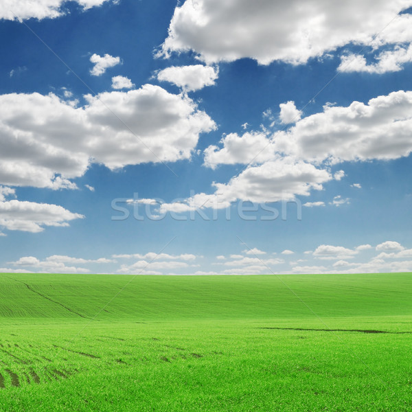 Veld voorjaar wolken gras zon groene Stockfoto © Serg64