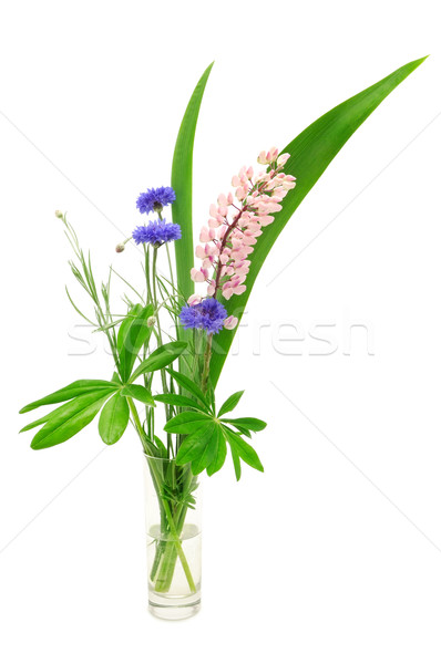 Stock photo: Bouquet of spring flowers 