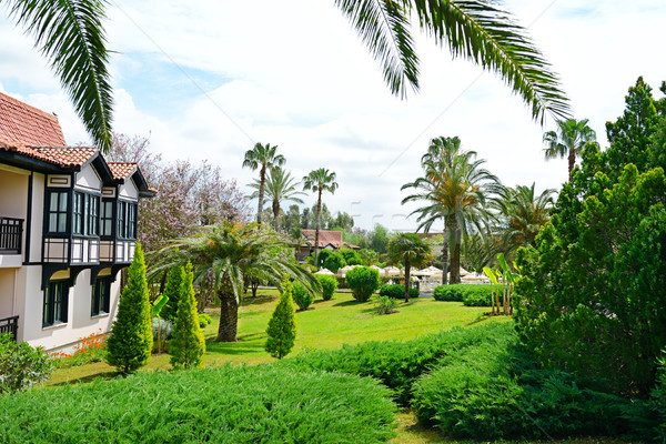 Pittoresque pelouse parc ciel arbre herbe [[stock_photo]] © serg64