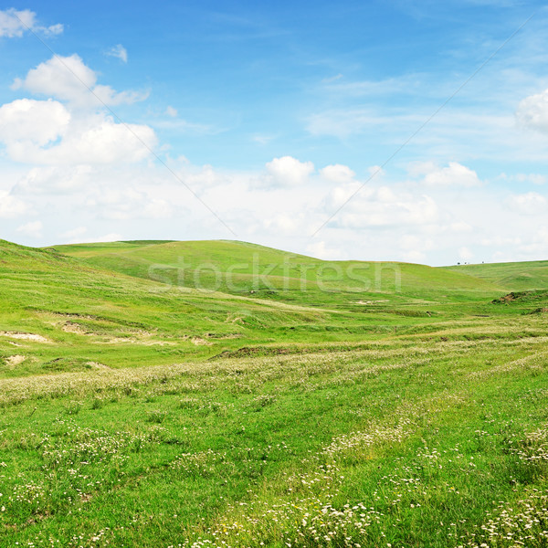 Terrein blauwe hemel hemel gras hout natuur Stockfoto © serg64