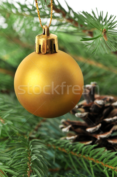 Christmas-tree decorations Stock photo © Serg64