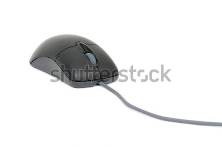 computer mouse Stock photo © Serg64