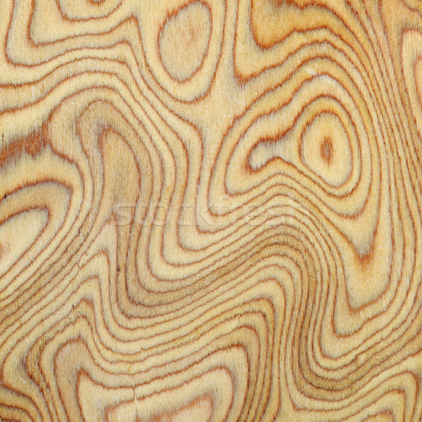 Wooden texture background Stock photo © serg64