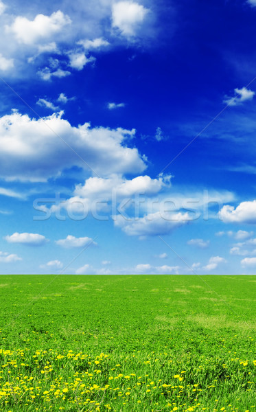 Campo primavera cielo nubi erba verde Foto d'archivio © Serg64