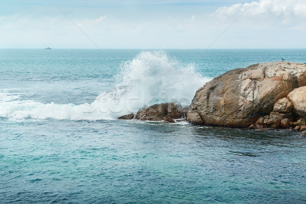 Rock in the ocean Stock photo © serg64