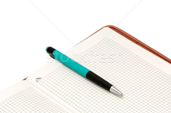 Notebook and ball-point pen Stock photo © Serg64