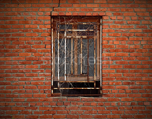 Window on aged brick wall wreathed with dried ivy Stock photo © serge001