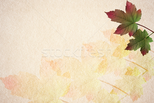 Old paper autumn leaves background Stock photo © serge001