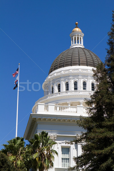 California kopuła flagi Błękitne niebo miasta architektury Zdjęcia stock © sframe