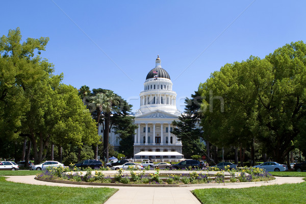 California budynku miasta ogród drzew niebieski Zdjęcia stock © sframe