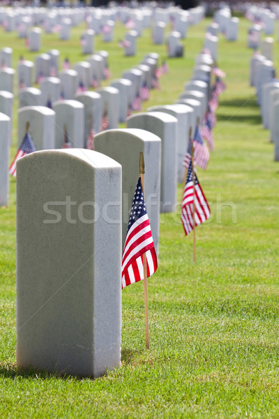 Cmentarz dzień Stany Zjednoczone amerykański flagi Zdjęcia stock © sframe