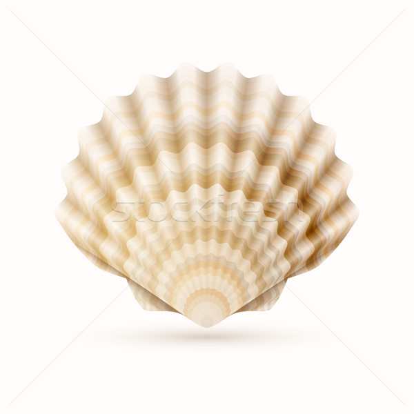 Sea shell Stock photo © sgursozlu