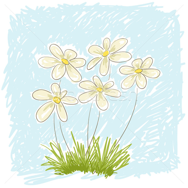 spring daisies. Stock photo © sgursozlu