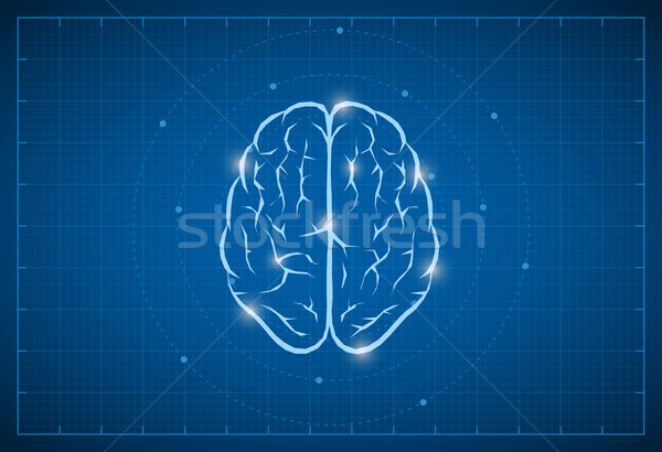 Blueprint Brain Symbol Stock photo © sgursozlu