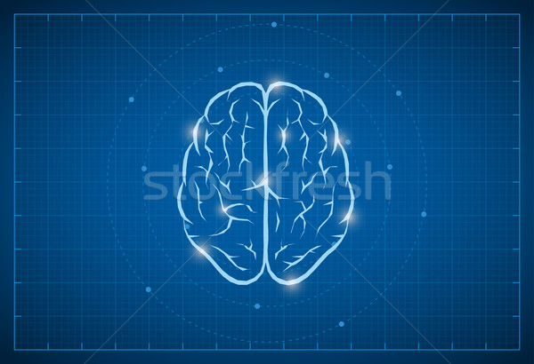 Blueprint cervello simbolo vettore medici tecnologia Foto d'archivio © sgursozlu