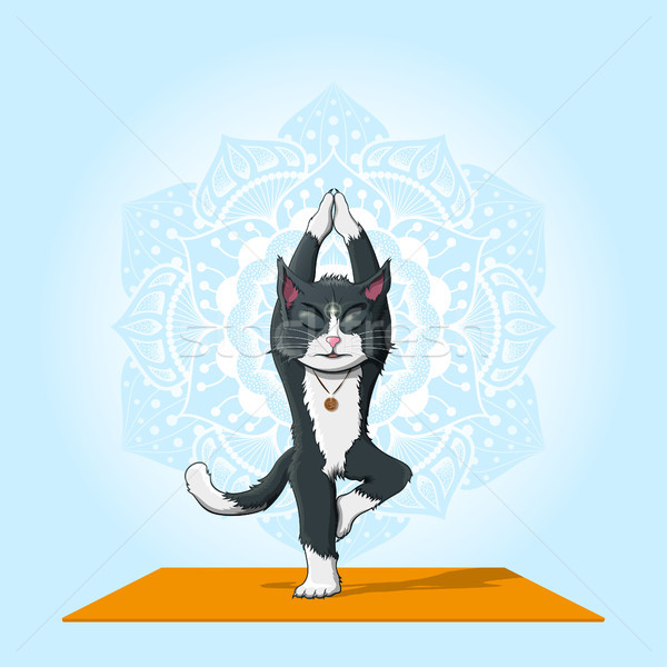 Macska gyakorlat jóga kép előad mandala Stock fotó © shai_halud